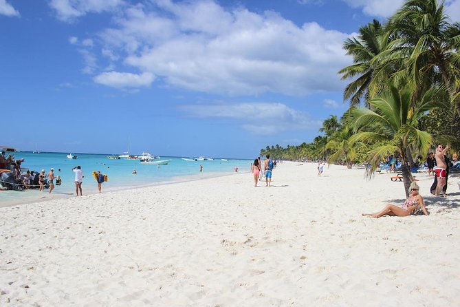 Saona Island Excursion from Bayahibe - Bayahibe to the boat: pickup, timing, and how the day starts