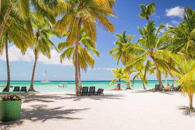 Saona Island Excursion from Bayahibe - Who this Saona excursion suits best