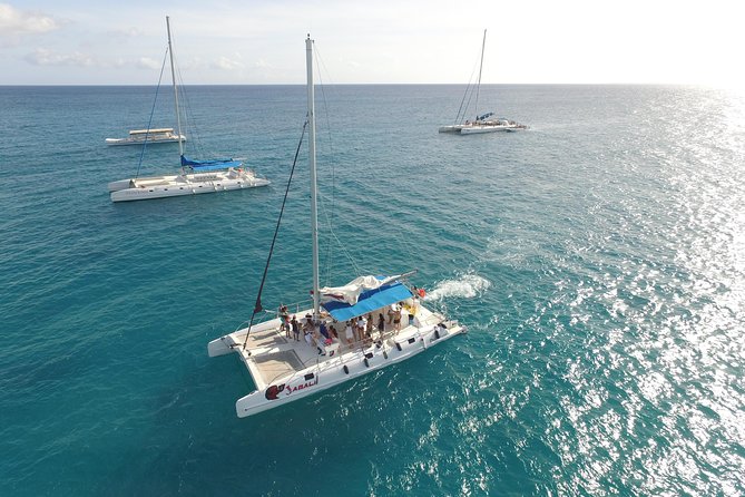 Saona Island Excursion From Punta Cana - Getting there and back: boats, water time, and group logistics