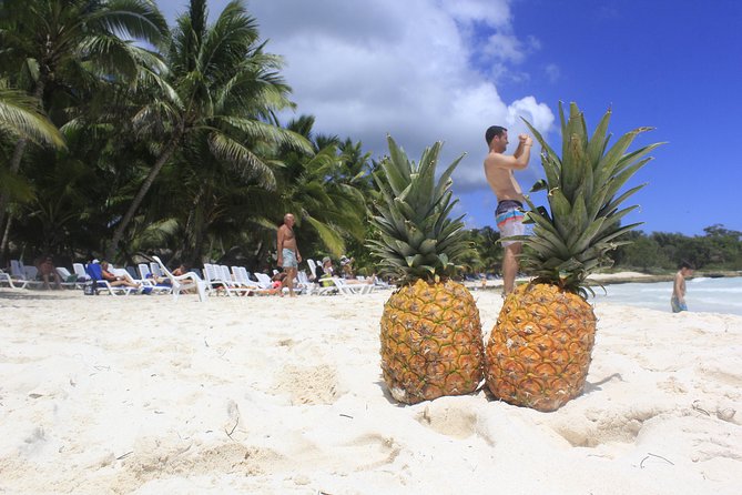 Saona Island Excursion From Punta Cana - Value and price: is $82 a fair deal?