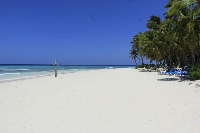 Saona Island Excursion From Punta Cana - Who this tour is best for (and who should skip it)