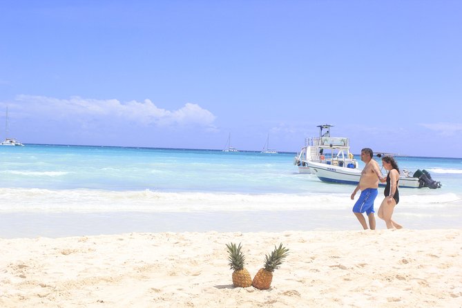 Saona Island Excursion From Punta Cana - How the day actually feels: from Punta Cana pickup to Saona beach