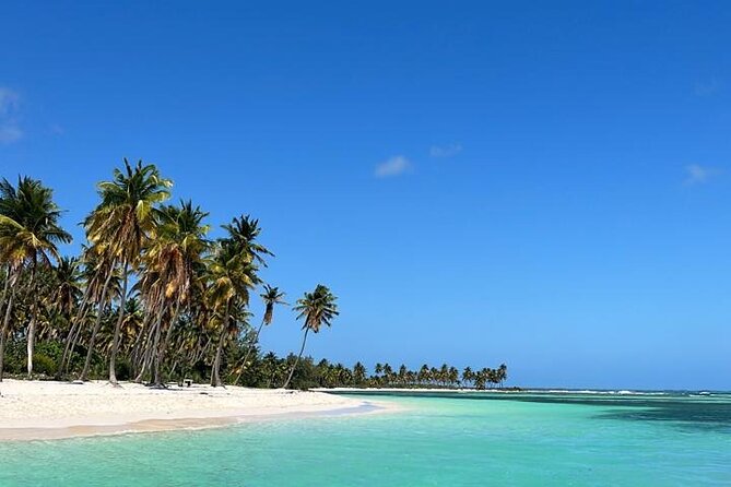 Saona Island for Marella Discovery Passengers from La Romana Port - Key highlights you’ll care about