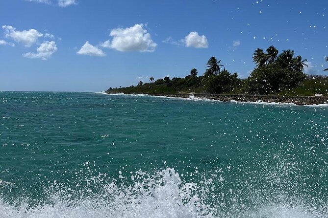 Saona Island for Marella Discovery Passengers from La Romana Port - The natural pool in Cotubanamá National Park: starfish viewing without the touching