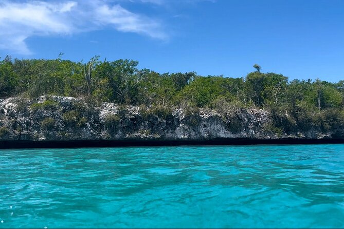 Saona Island for Marella Discovery Passengers from La Romana Port - From the cruise terminal at 9:00 to Bayahibe by late morning