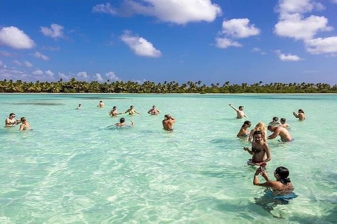 Saona Island Full-Day Tour with Lunch from Punta Cana - Saona Island Looks Like Someone Turned Up the Filter