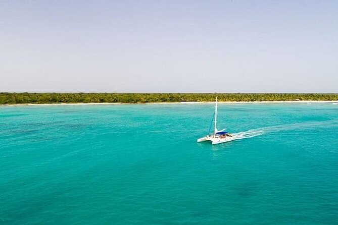 Saona Island Full-Day Tour with Lunch from Punta Cana - Your Saona Island Free Time: Beach, Palm Shade, and the Natural Pool Moment