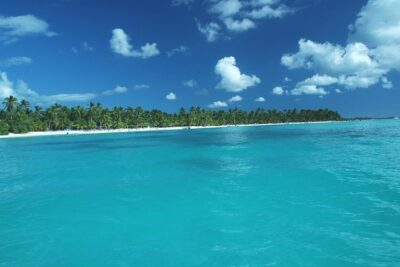 Saona Island Full-Day Tour with Lunch from Punta Cana - Lunch by the Sea: Buffet Style, Open Bar, and What to Plan for