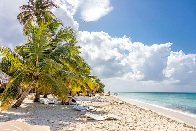 Saona Island Full-Day Tour with Lunch from Punta Cana - Price and Logistics: Is $93 Worth It for This Saona Day Trip?