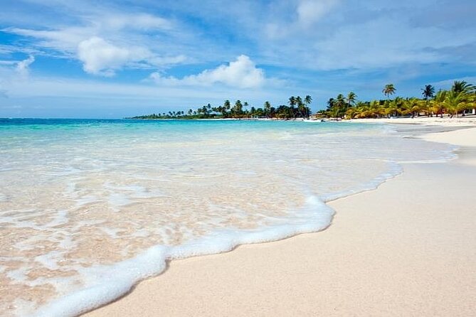 Saona Island Full-Day Tour with Lunch from Punta Cana - Who Should Book, and Who Might Want Another Option?
