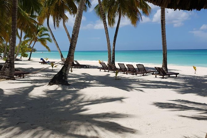 Saona Island small group and relax - luxury catamaran - Price and Value: Why $139 Can Beat Cheaper Saona Tours