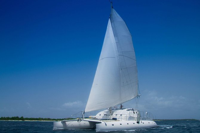 Saona Island small group and relax - luxury catamaran - Catuano Reef Snorkeling: Short Session, Real Guidance