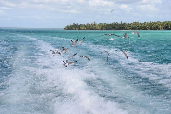 Saona, Mano Juan, Canto de la playa away from the tourist crowds - Canto de la Playa: lunch first, then snorkeling and downtime