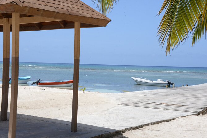 Saona, Mano Juan, Canto de la playa away from the tourist crowds - Timing, duration, and how to plan your day back home
