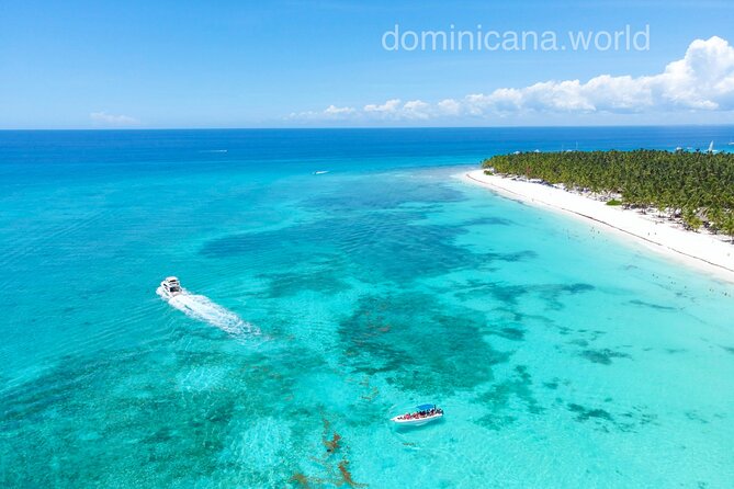 Saona Private Tour with Own Guide and Transport from Punta Cana - Playa Viva snorkeling: reef viewing and fish-feeding fun