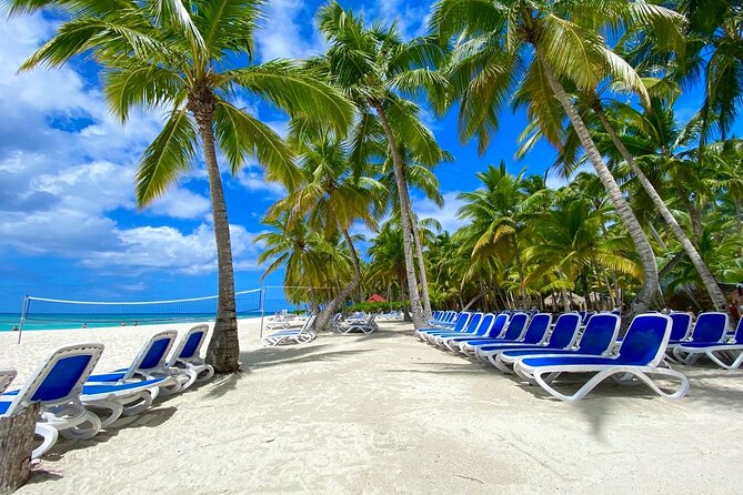 Saona Private Tour with Own Guide and Transport from Punta Cana - Optional lobster and VIP beach upgrades: when it makes sense