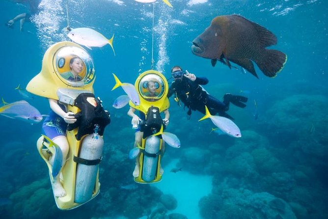 Scuba Doo Diving Experience in Punta Cana - Getting Into the Underwater Zone: Platforms, Transfers, and Comfort Limits