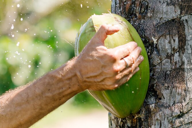 Small Group Exclusive 4x4 ATV Punta Cana: Jungle & Wild Beaches! - Stop 3: Punta del Coco and the coconut-in-a-palm-grove moment