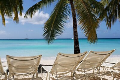 Small Group: Saona Island Full Day Tour - Mano Juan Turtle Conservation: The Stop with Real Meaning