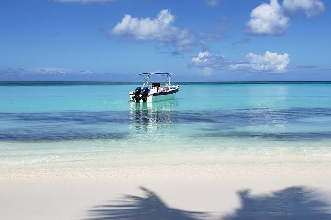 Small Group: Saona Island Full Day Tour - Abanico Beach: Lunch, Swimming, and the Best Stretch of Relaxation