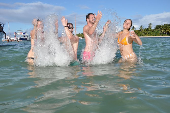 Small Group Snorkeling, Sharks & Stingrays Encounter by boat - Glass-bottom boat time: fish near the surface and a choose-your-own-adventure moment