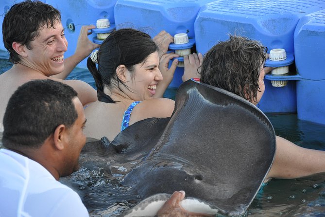 Small Group Snorkeling, Sharks & Stingrays Encounter by boat - Natural Pool stop and the swim-up bar reset