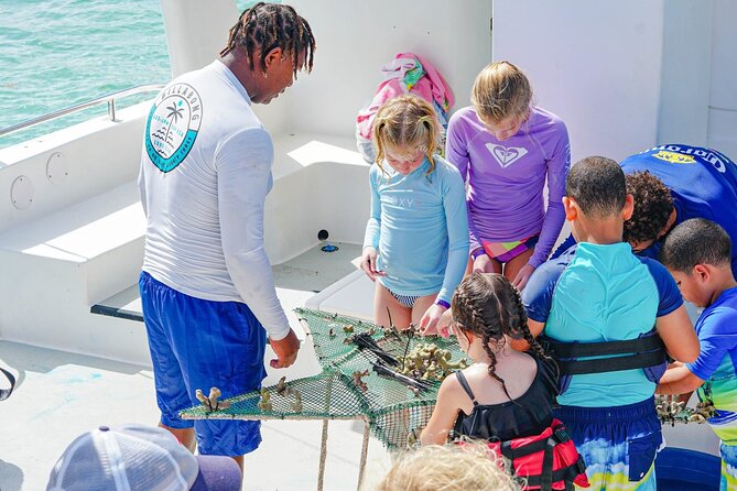 Snorkel Lovers for All Ages & Premium Seafood Lunch in Punta Cana - Price and Logistics: What You Get for $114
