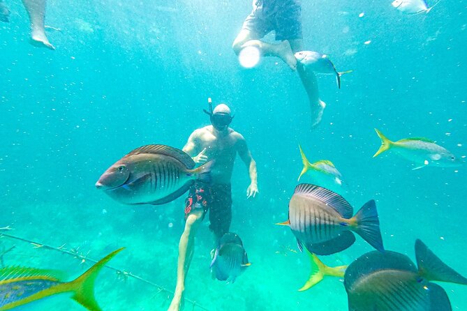 Snorkel Lovers for All Ages & Premium Seafood Lunch in Punta Cana - Stop 2 at the Coral Nursery: One Full Hour in a Protected Restoration Zone