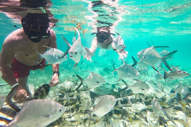 Snorkel Lovers for All Ages & Premium Seafood Lunch in Punta Cana - Floating Kitchen Lunch and the Unlimited Open Bar Part of the Day