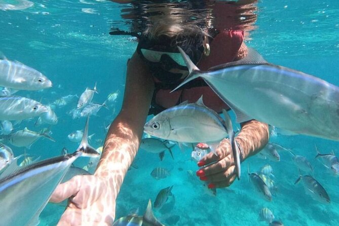 Speed Boat and Snorkeling in Punta Cana Bavaro - Natural pool stop: clear water time with a side of social chaos