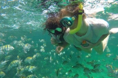 Speed Boat and Snorkeling in Punta Cana Bavaro - The reef stop at Bavaro Reef: fish spotting without the guesswork