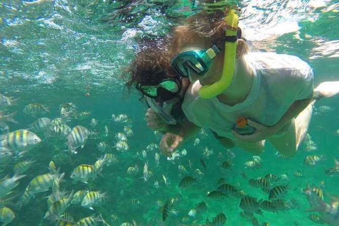 Speed Boat and Snorkeling in Punta Cana Bavaro - The reef stop at Bavaro Reef: fish spotting without the guesswork