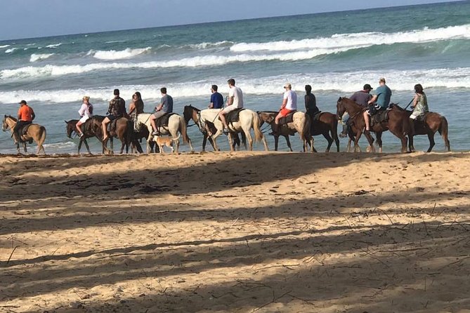 Sunset beach horsebackriding Punta Cana - Key takeaways before you book