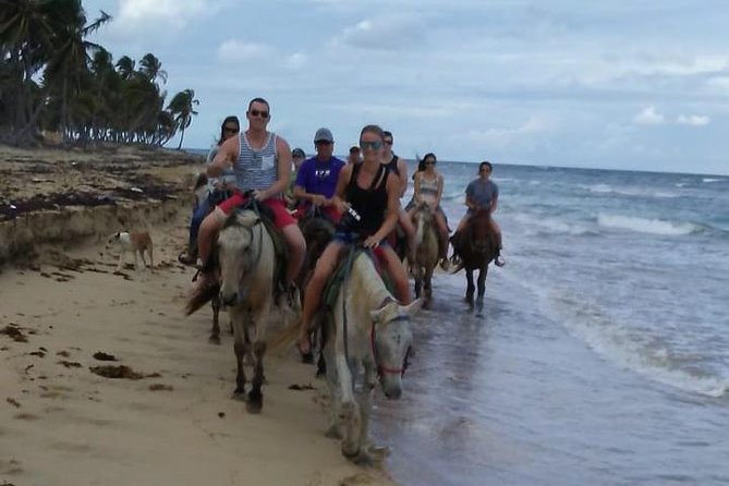 Sunset beach horsebackriding Punta Cana - On the horse: gentle pacing, first-timer comfort, and chances to move faster
