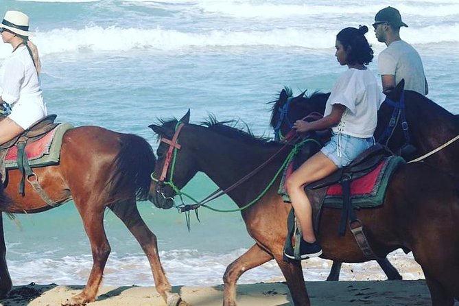 Sunset beach horsebackriding Punta Cana - The best part of the ride: photos, video, and coconut water moments