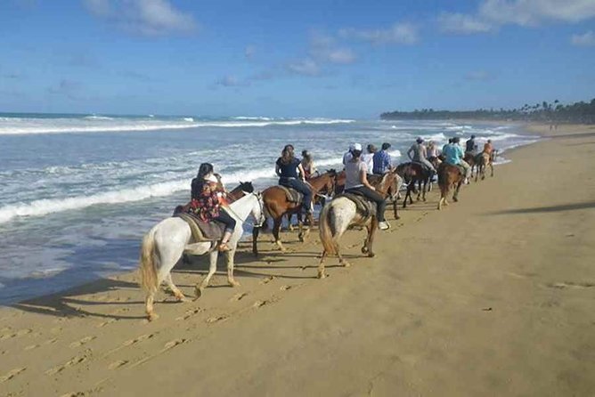 Sunset beach horsebackriding Punta Cana - Horses, safety, and what to watch for on trail conditions