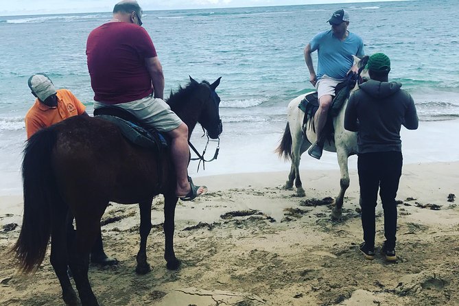 Sunset beach horsebackriding Punta Cana - Bugs and weather: the two make-or-break factors for late afternoon