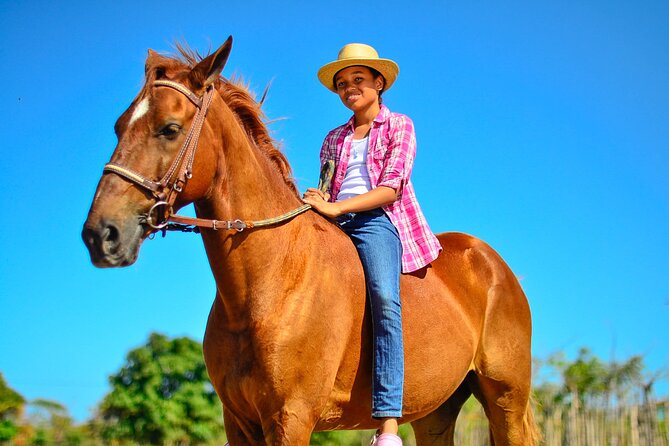 Sunset Horseback Riding Tour in Punta Cana (Private Option) - Pickup, timing, and the private-group feel that changes everything