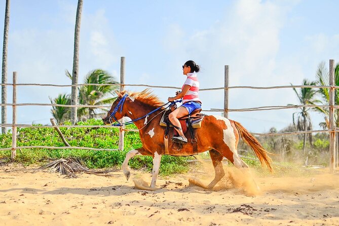 Sunset Horseback Riding Tour in Punta Cana (Private Option) - Beach riding at golden hour: walking, jogging, and faster runs