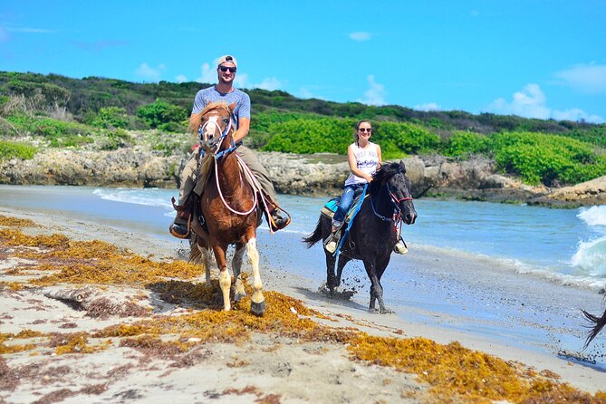 Sunset Horseback Riding Tour in Punta Cana (Private Option) - Should you book this tour in Punta Cana?