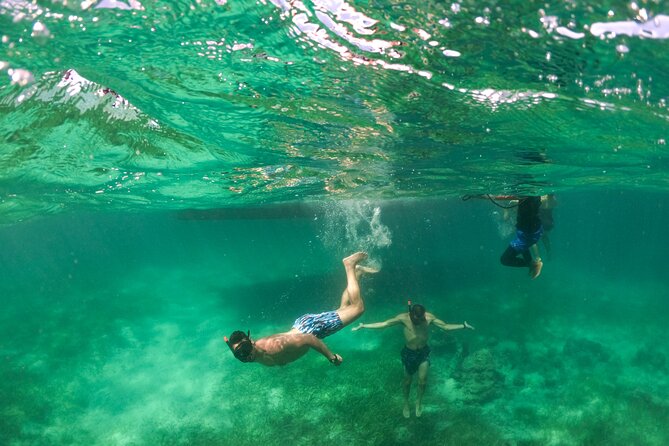 Taiguey Emotion Show - Snorkeling at Bávaro Beach: coral reefs, gear included, time to make it count