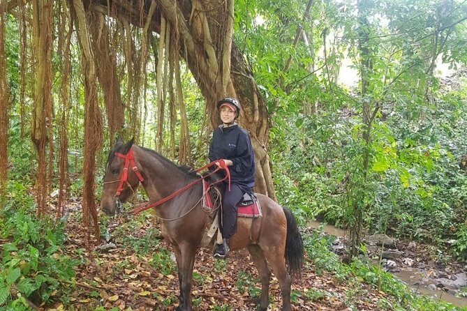 The Ultimate Dominican Horseback Riding Adventure - Quick take: what makes Rancho Cana Tequila special