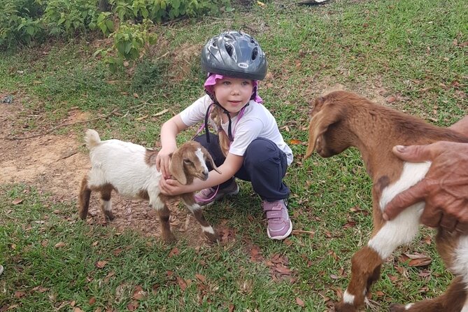The Ultimate Dominican Horseback Riding Adventure - At the ranch: briefing, helmets, and what “beginner friendly” really means