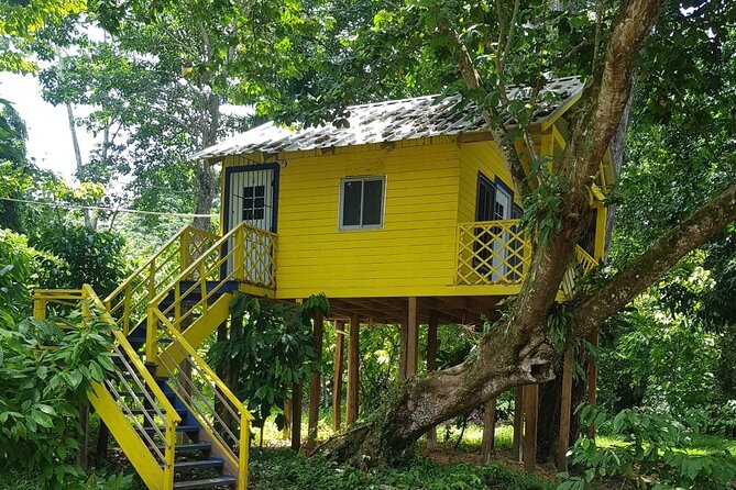 The Ultimate Dominican Horseback Riding Adventure - The trail ride: forests, ponds, hills, and a mountain-top payoff
