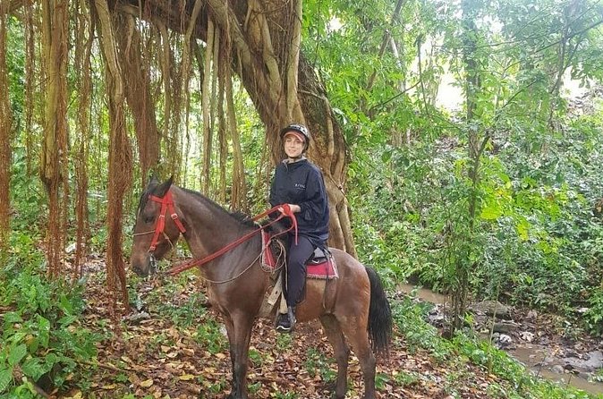The Ultimate Dominican Horseback Riding Adventure - Price and logistics: why $79 can be a good deal