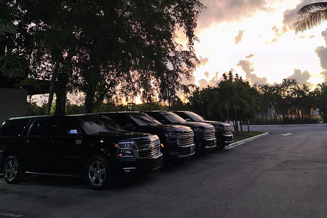VIP Executive Airport Transfer – Luxury Ride in Punta Cana - The hotel drop-off: Punta Cana and nearby areas