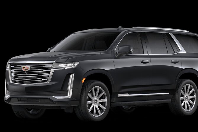 VIP Private Round-Trip Transfer from Punta Cana Airport - Who This Works Best For in Punta Cana