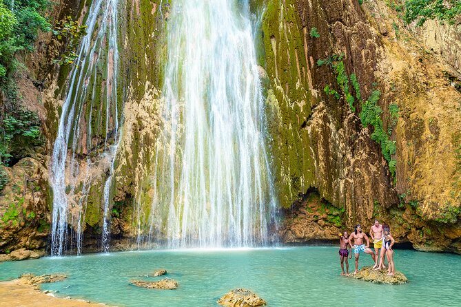 Whale Watching & Limón Waterfall Day Trip - Whale watching in Samana Bay: why this excursion is built around timing