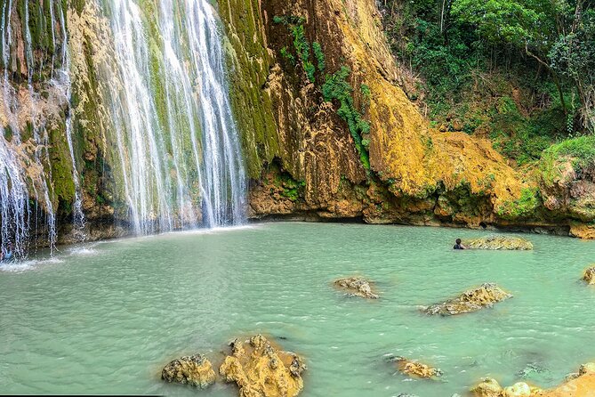 Whale Watching & Limón Waterfall Day Trip - Samana Province whale watch: how to make the hour count