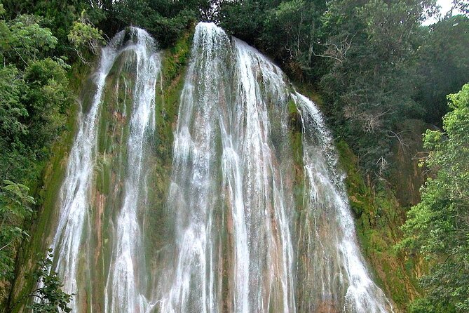 Whale Watching & Limón Waterfall Day Trip - Who this day trip suits best (and who should think twice)